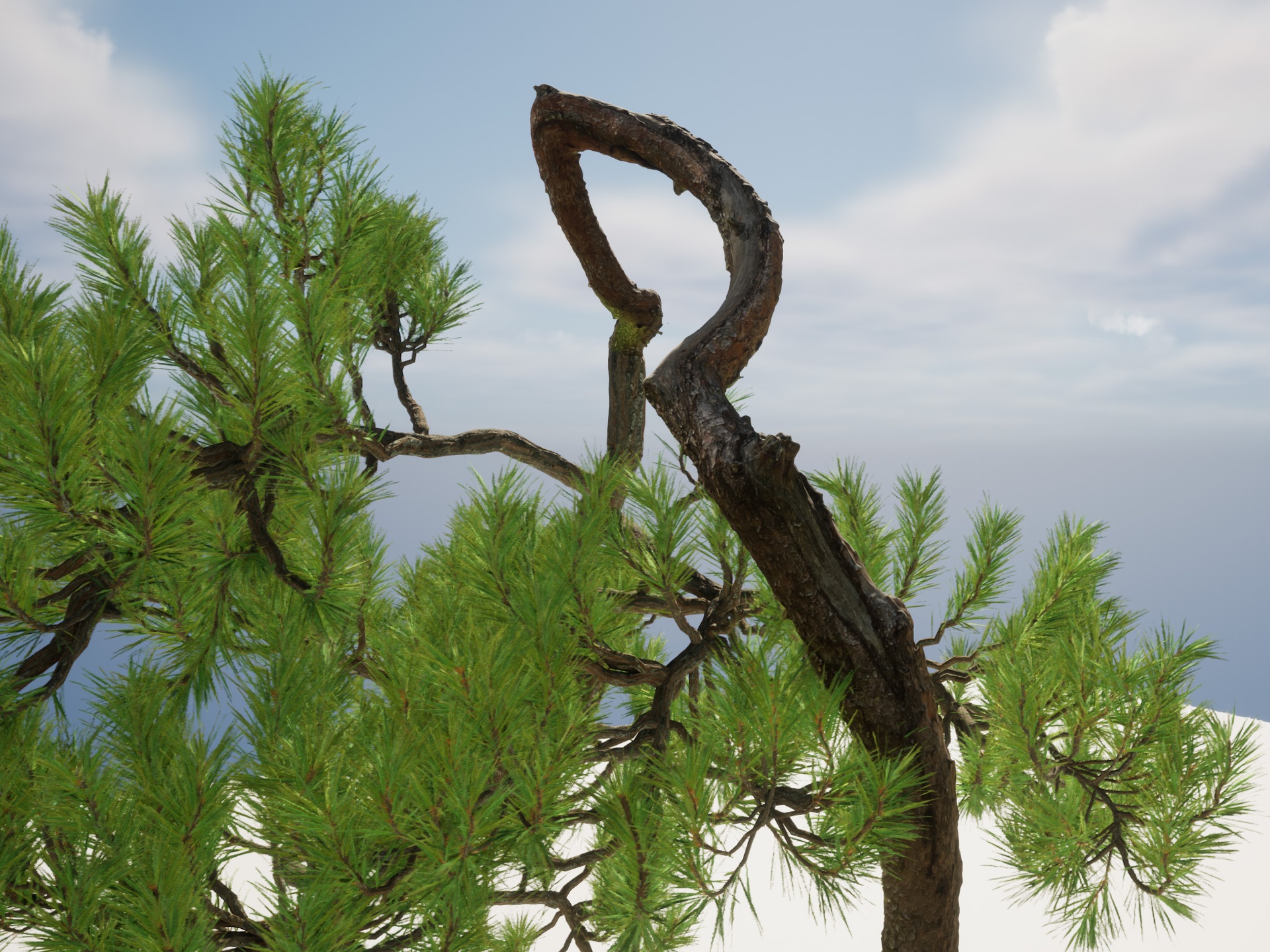 Media 1 for listing Nanite Pine Tree 08