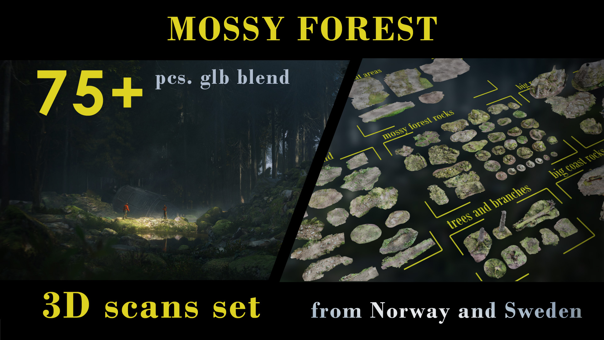 Mossy Scandinavian Forest 3D scans from NORWAY | Fab