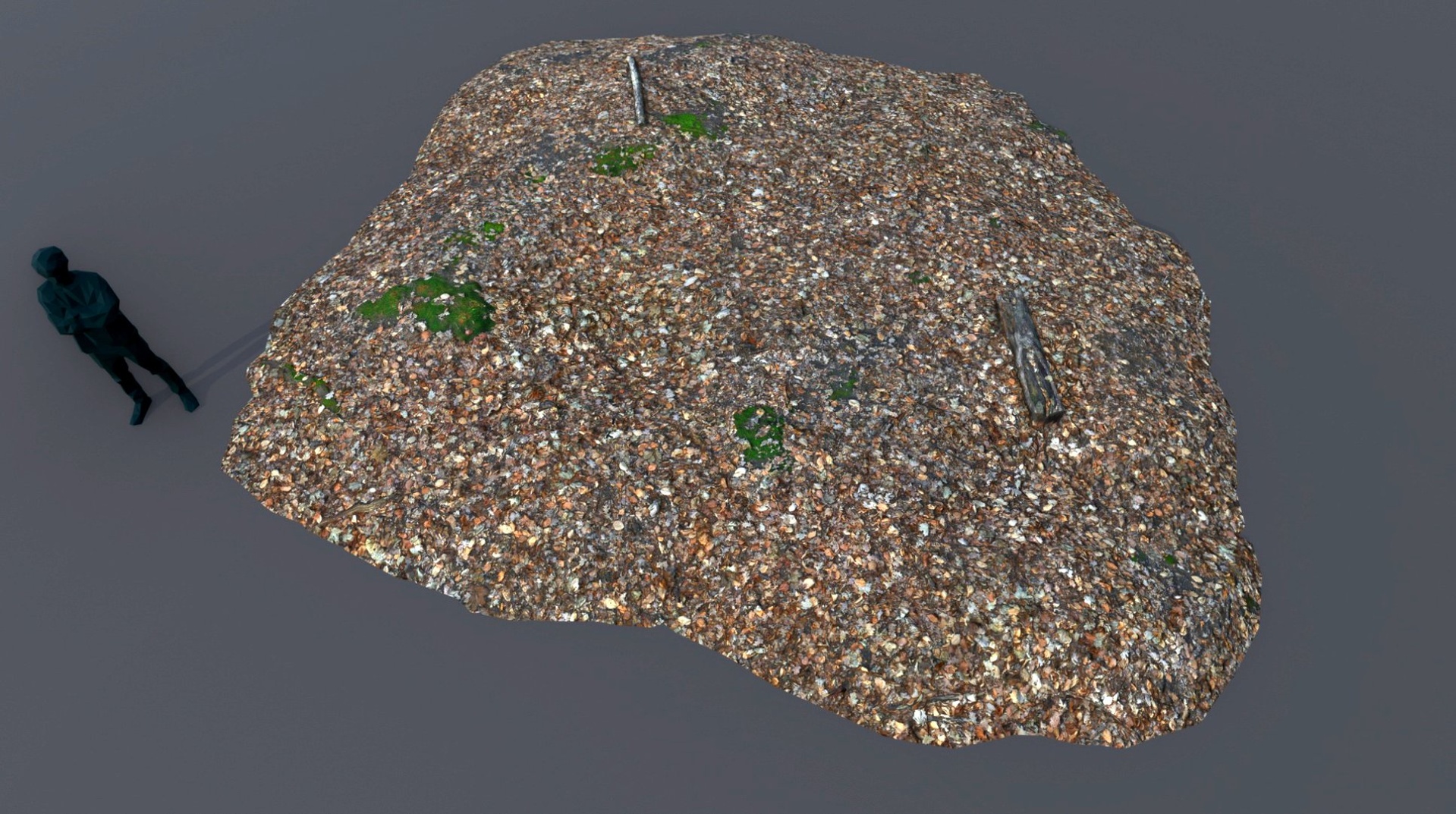 Media 1 for listing forest ground leaves module