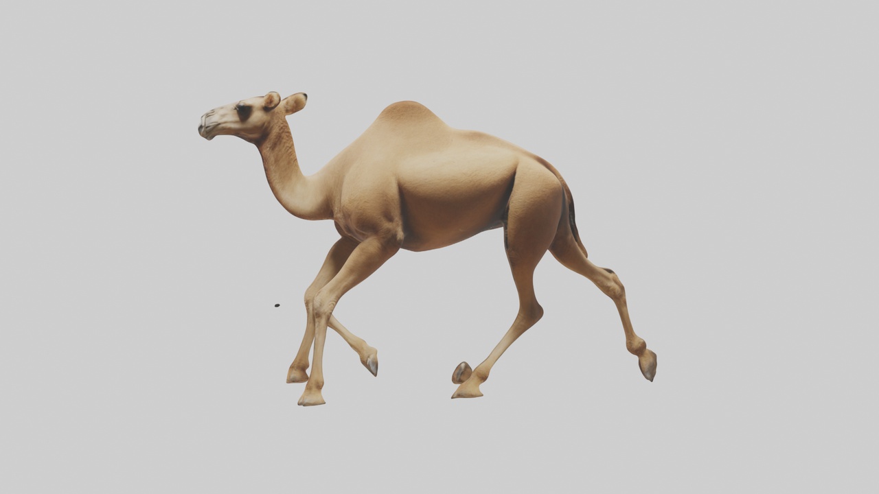 Media 1 for listing Dromedary Camel walking model