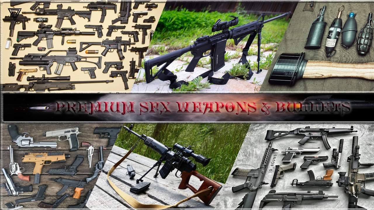 Media 1 for listing Premium SFX Weapons & Bullets