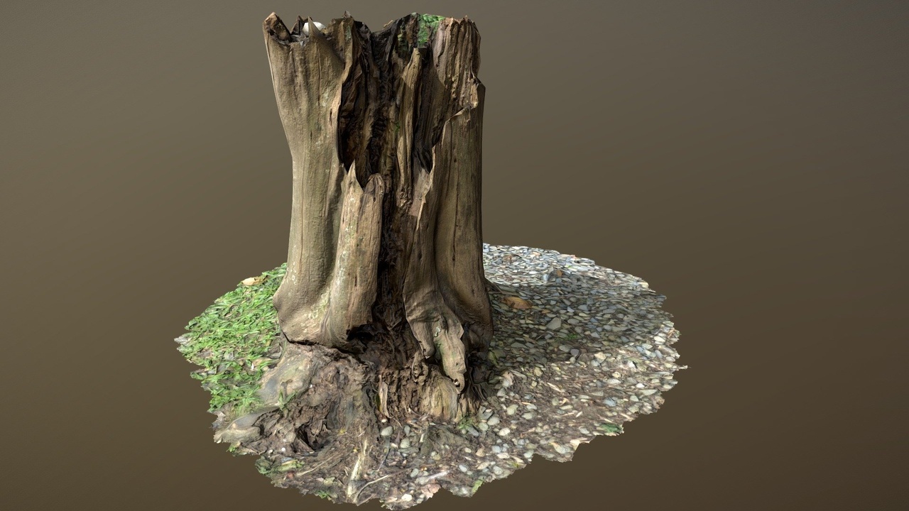 Media 1 for listing Lowpoly Trunk