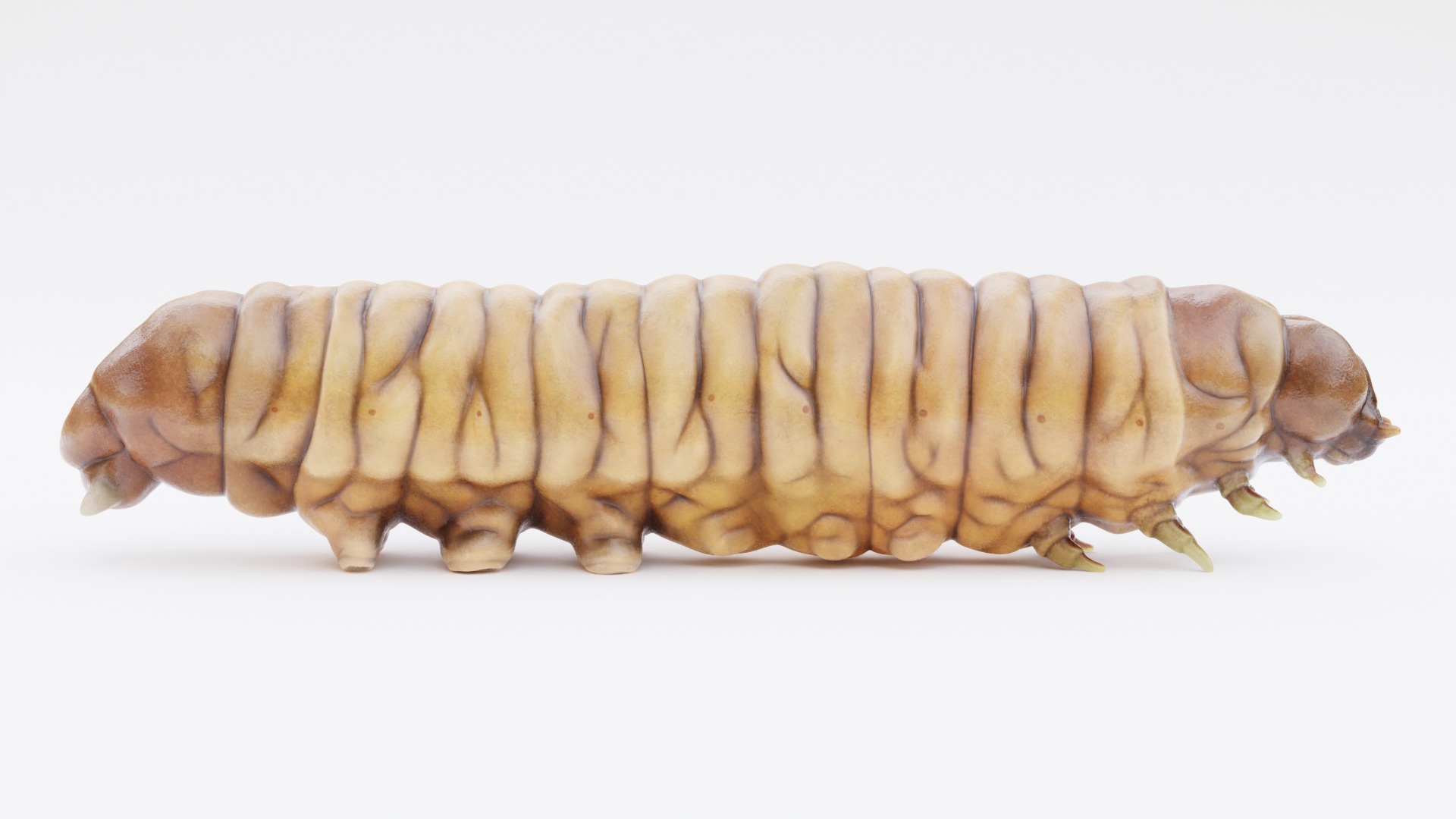 Wax Worm - Detailed Plastic Eater | Fab