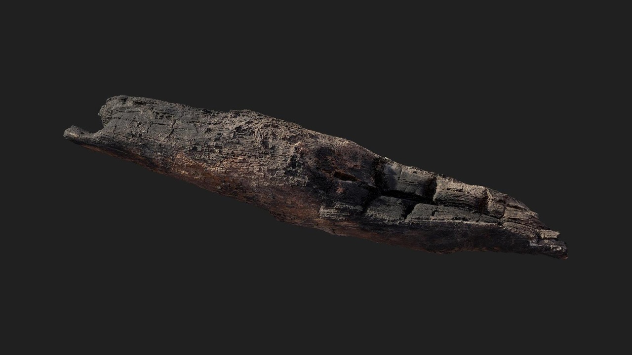 Media 1 for listing Burnt Tree Log