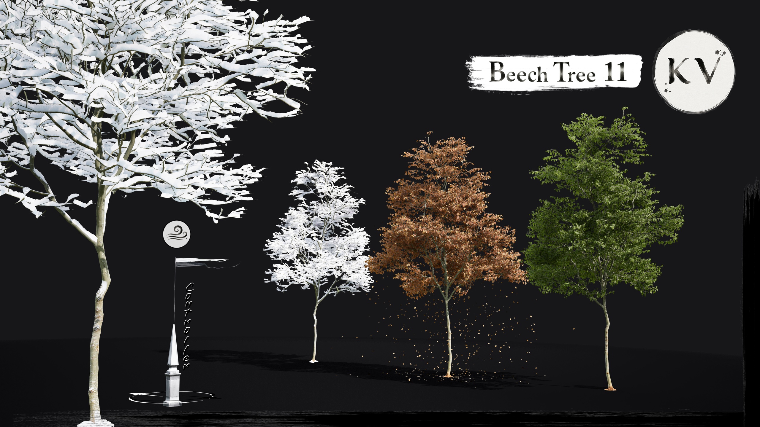 Media 1 for listing KV 🌳 Beech Tree 11 — Cinematic Animated Tree |Nanite | Wind | Seasons|