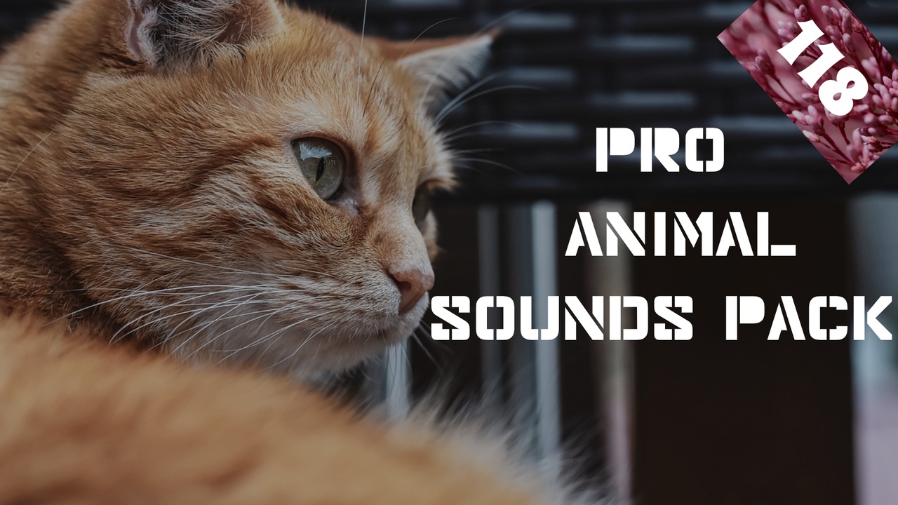 Media 1 for listing Pro Animal Sounds