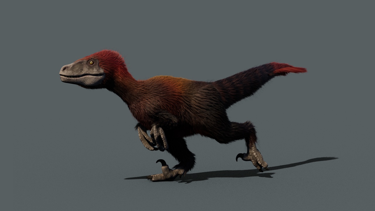 Media 1 for listing Raptor Maya UE
