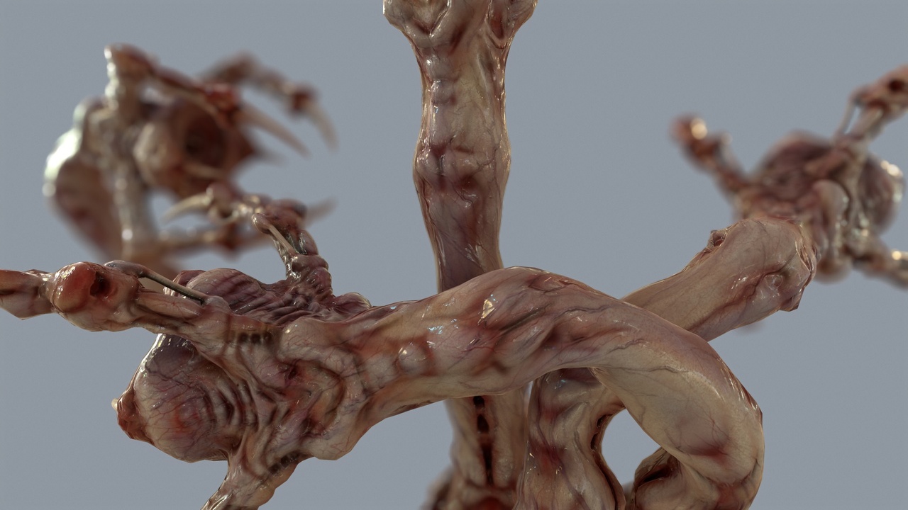 Media 1 for listing Venous Clawed Worm