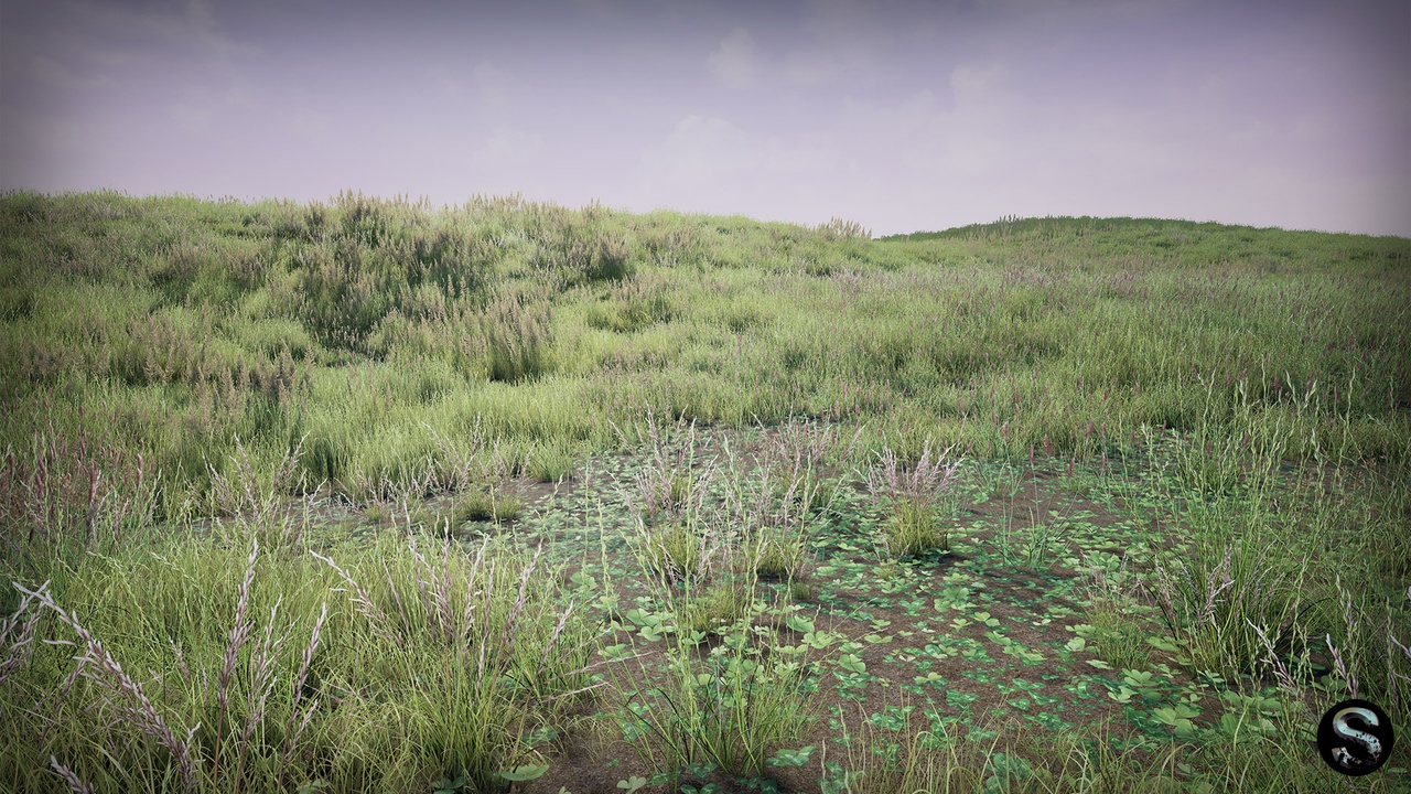 Media 1 for listing Grass Pack