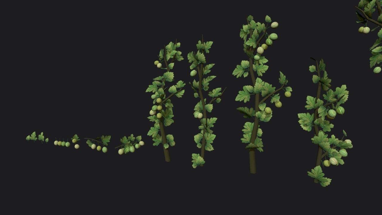 Media 1 for listing Gooseberry sprig stylized plant