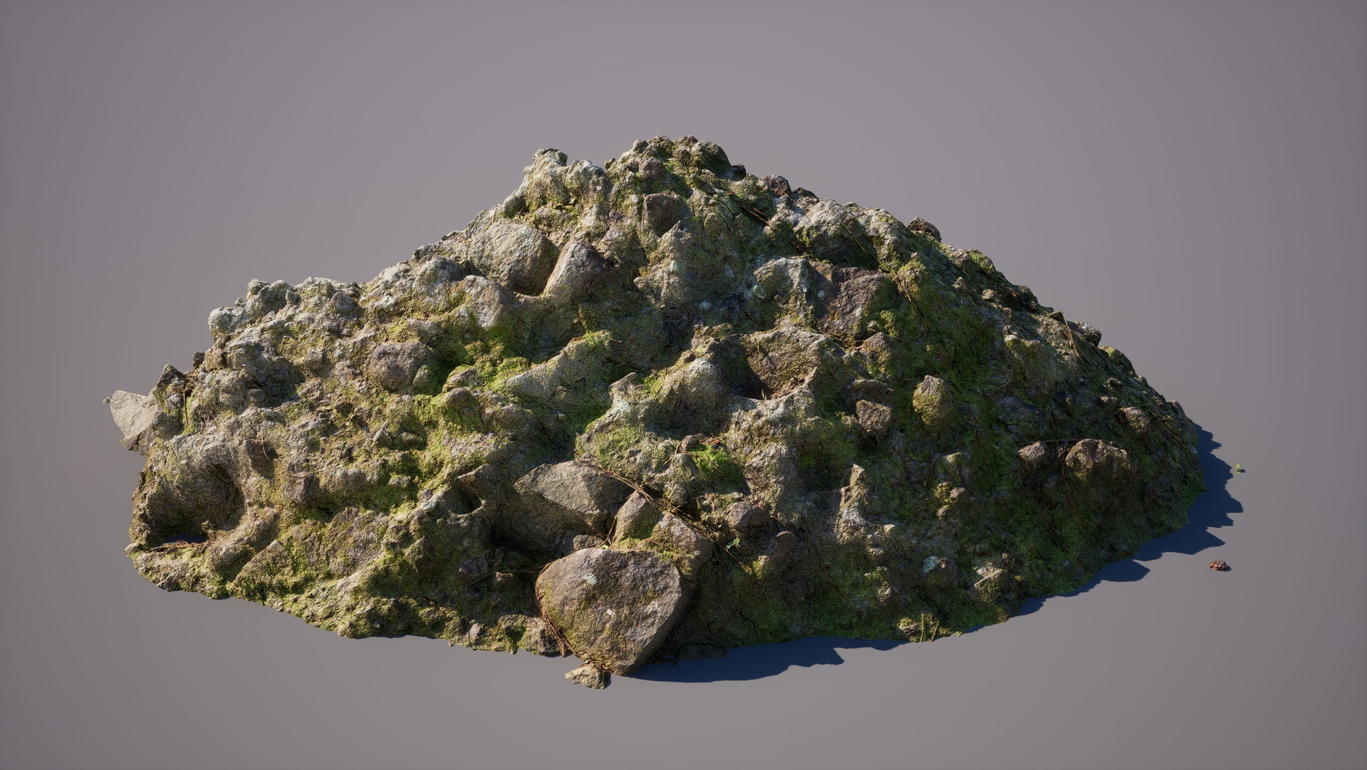 Media 1 for listing Forest Ground Rock 003