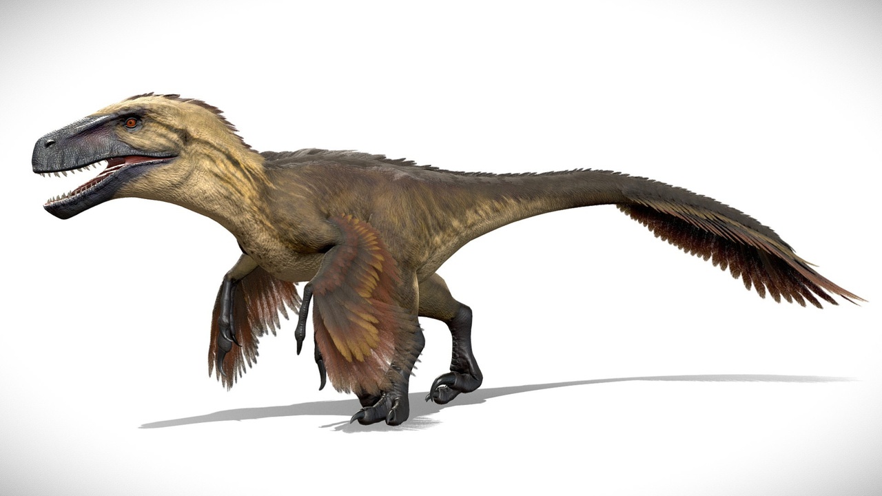 Media 1 for listing Feathered Utahraptor Rig