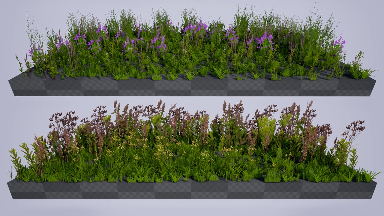 Media 1 for listing Plants Low