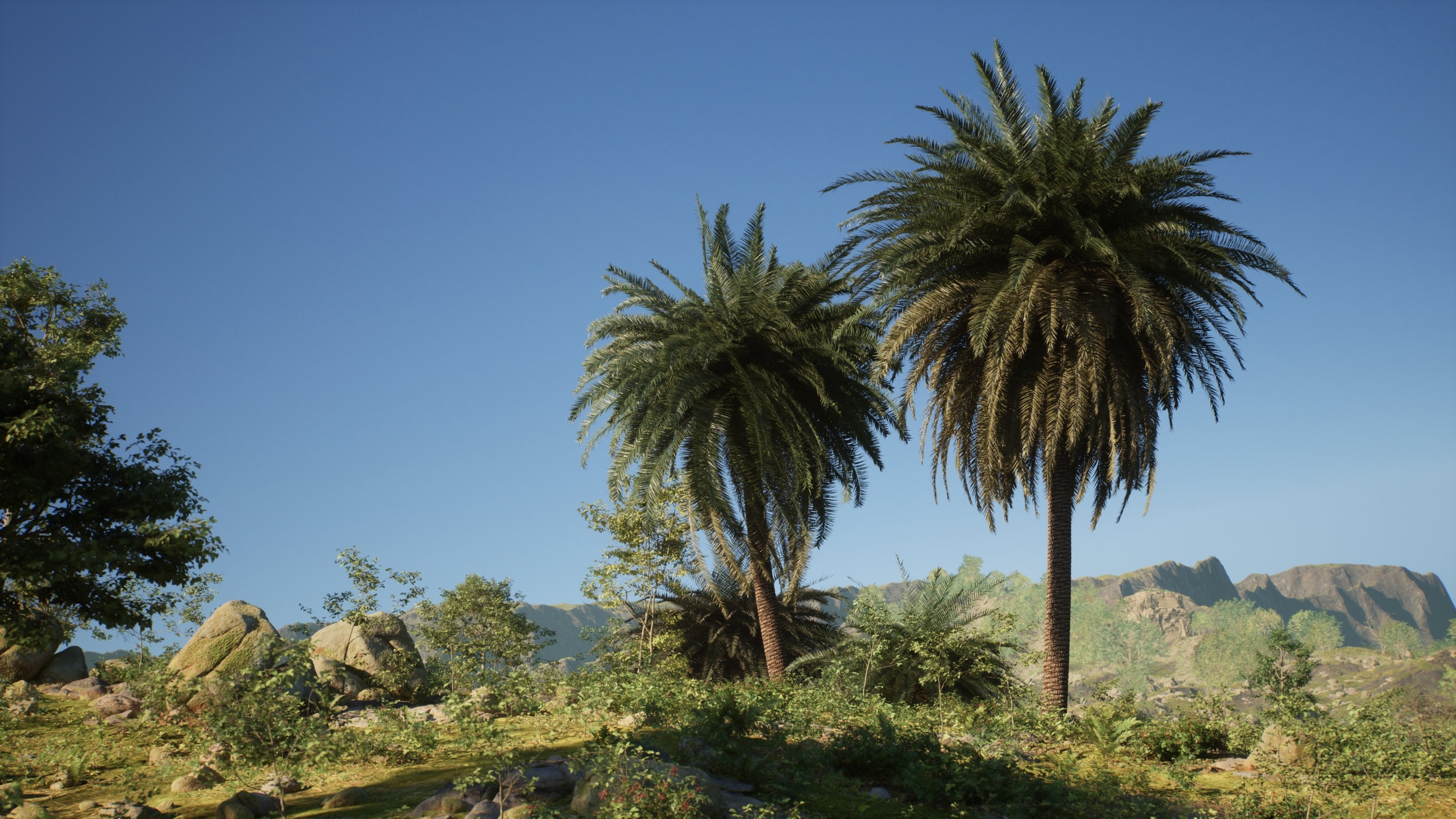 Media 1 for listing Realistic Canary Palm