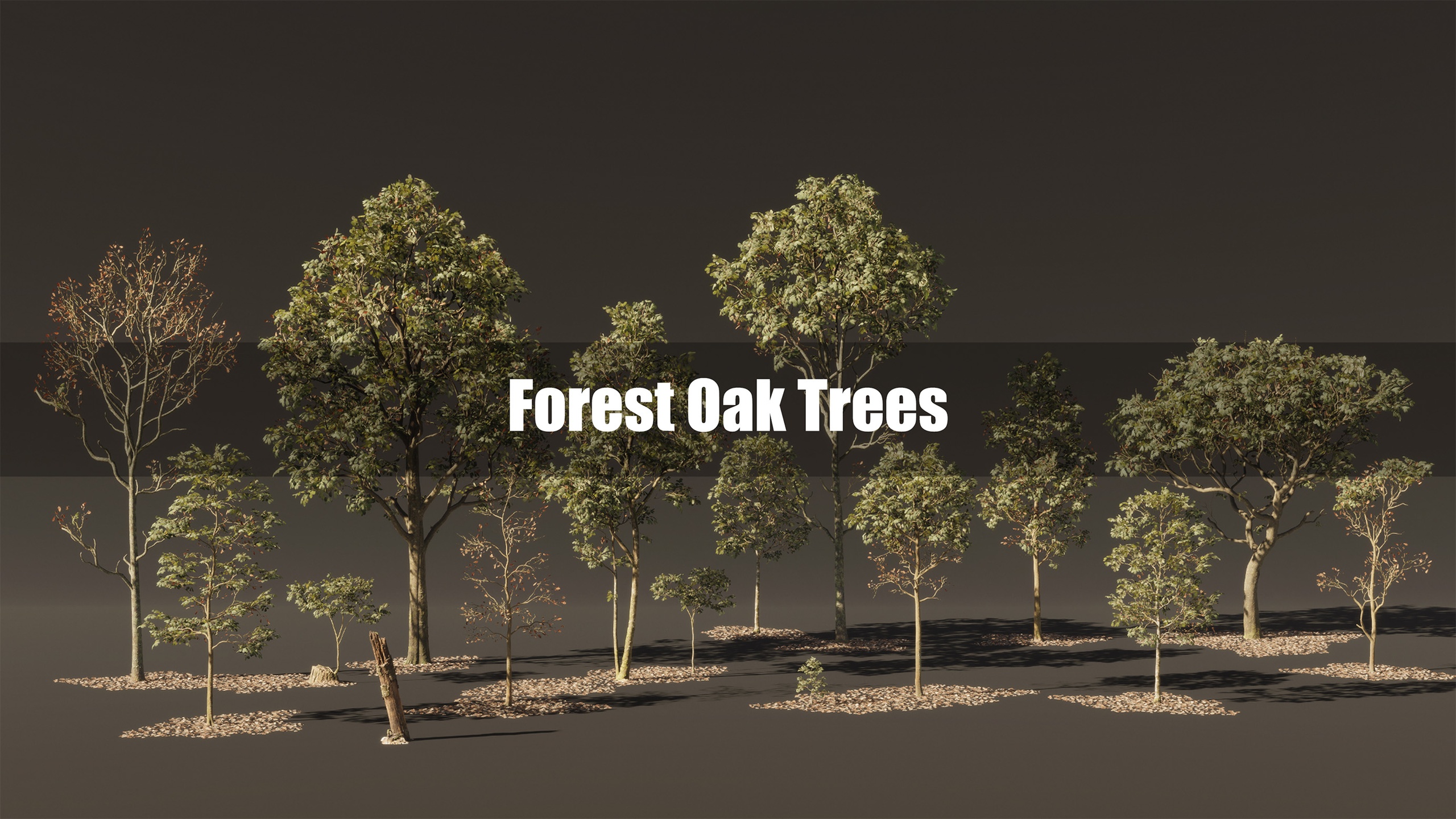 Media 1 for listing Forest Oak Trees
