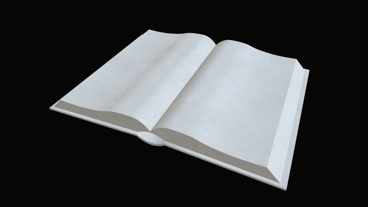 Media 1 for listing Book open 2