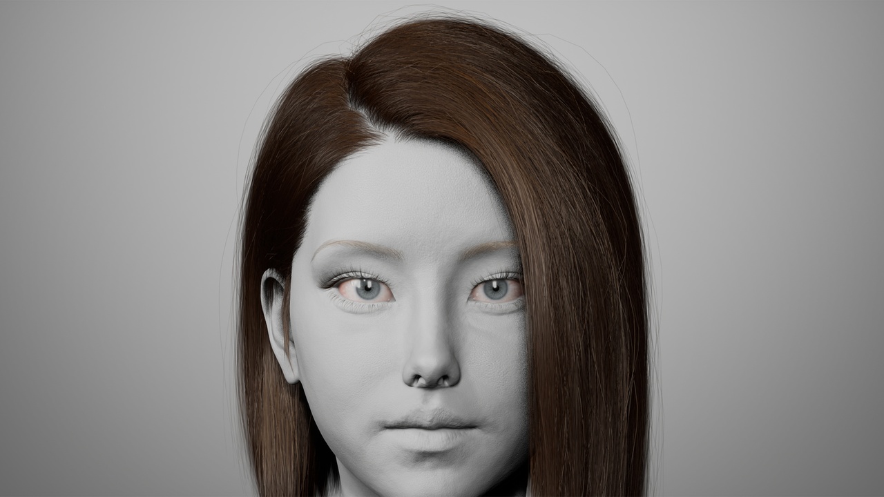 Media 1 for listing MetaHair 214- Groom hair for Metahumans - With lowpoly version in additional