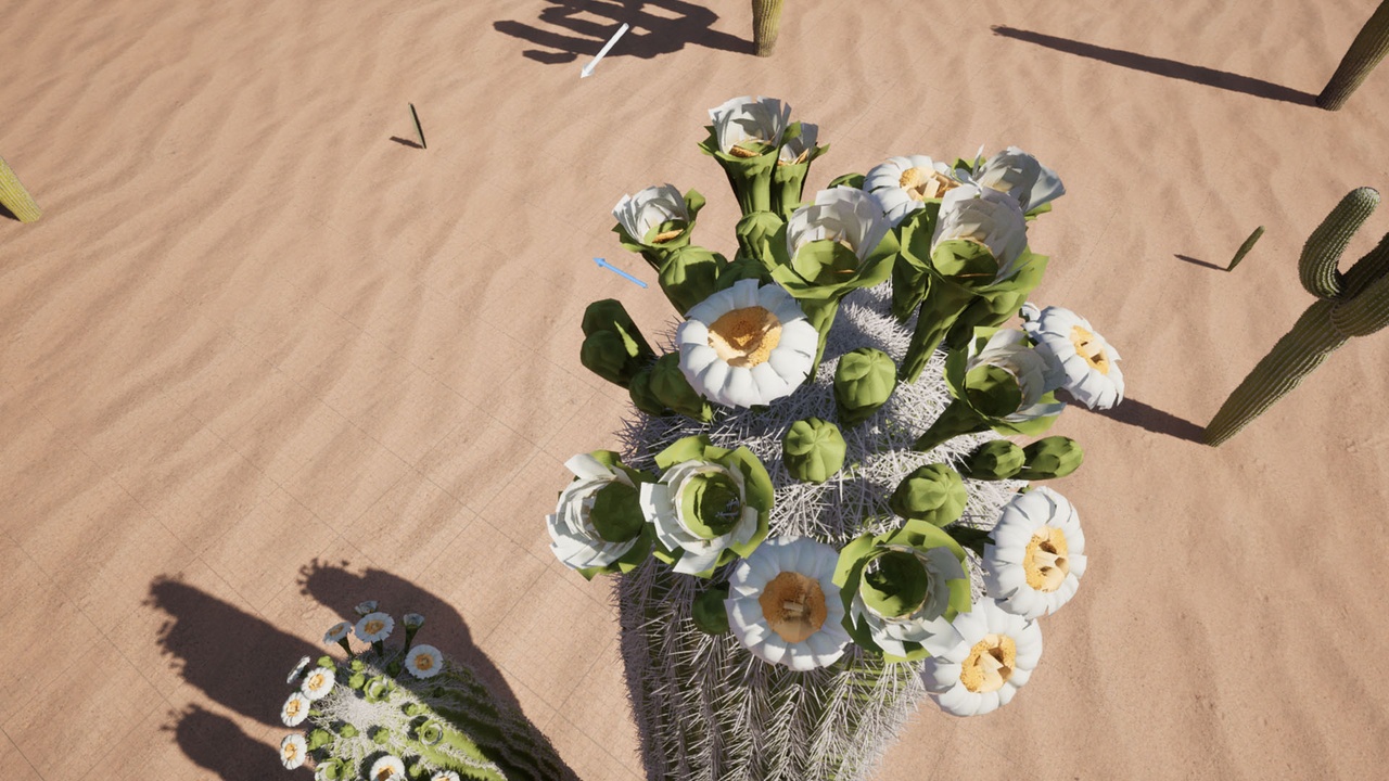 Media 1 for listing Carnegiea Gigantea (Saguaro Cactus)