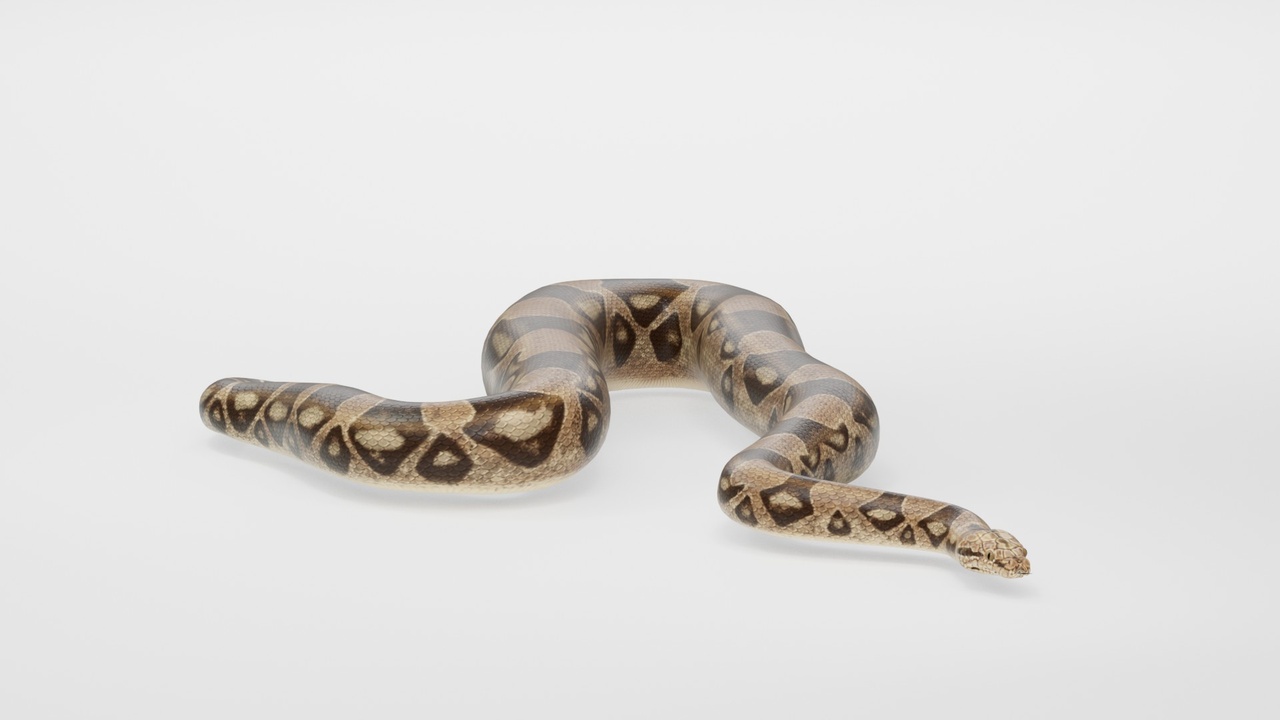 Media 1 for listing Realistic Snake Wildlife Asset