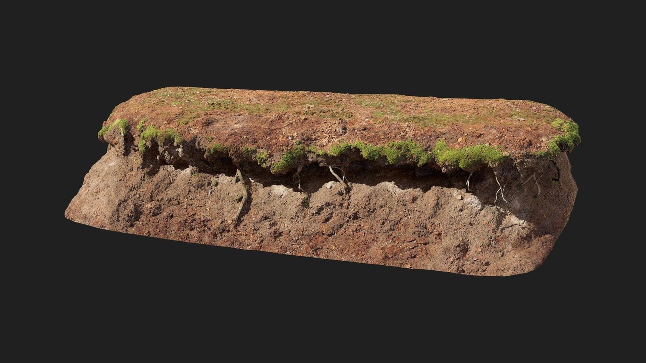 Media 1 for listing Forest European Broadleaf Embankment Riverbed M 02