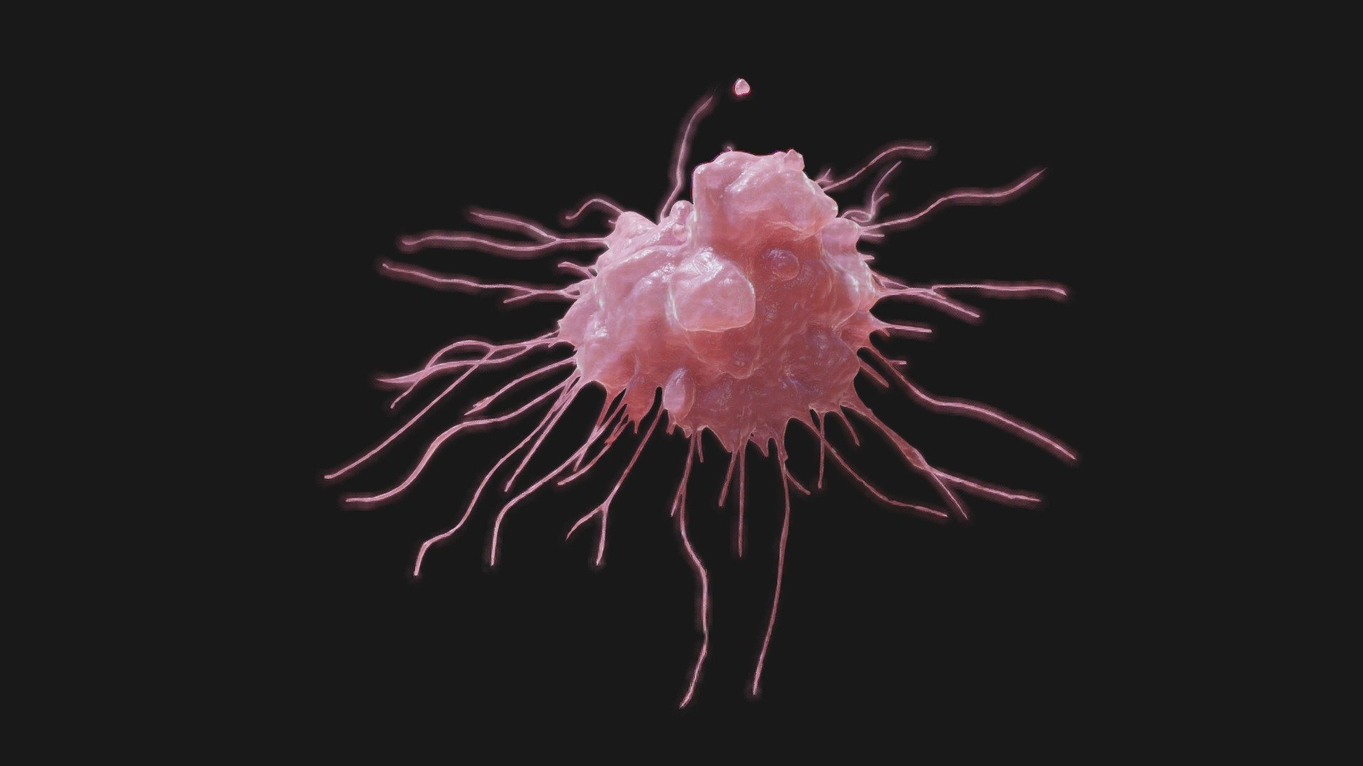 Cancer Cell Tumor | Fab