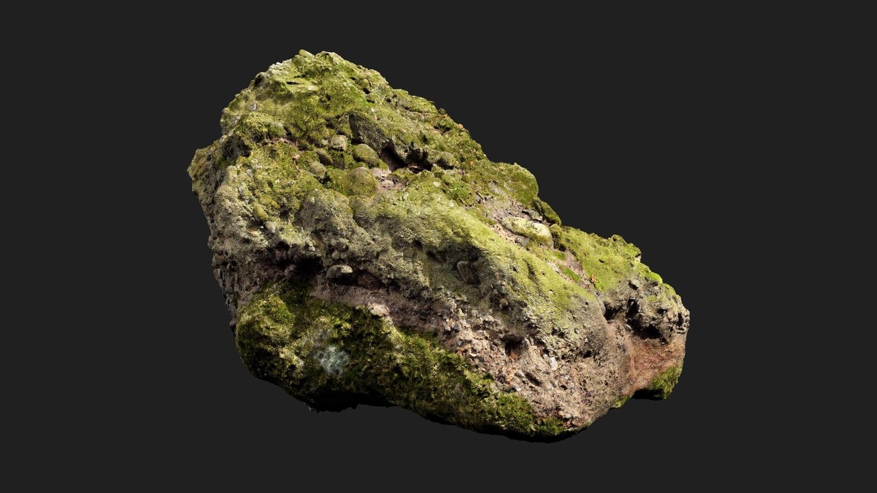 Media 1 for listing Mossy Forest Rock