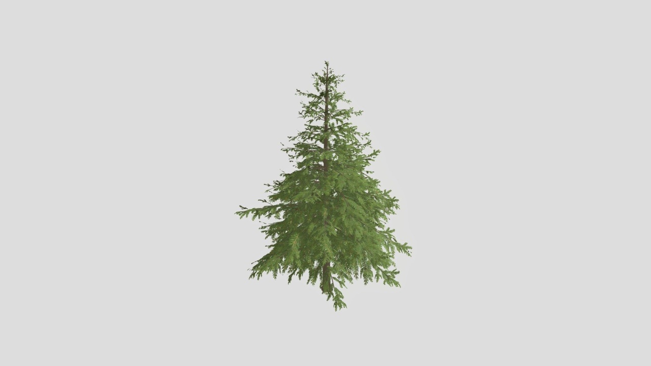 Media 1 for listing Pine Tree (FBX 4K)