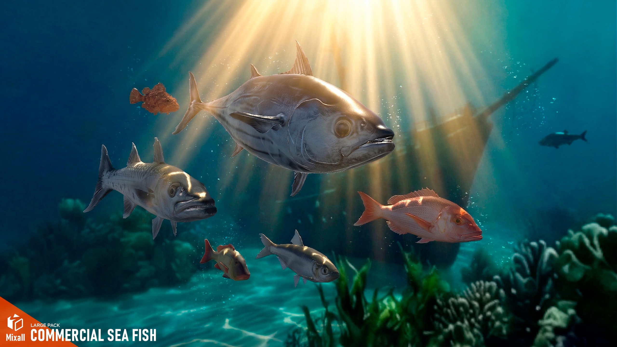Media 1 for listing Commercial sea fish - large pack