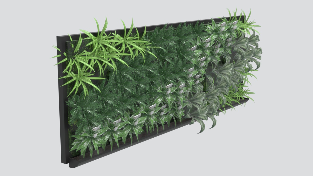 Media 1 for listing Wide Black Living Wall Planter Box with Mixed Plants 3D Model