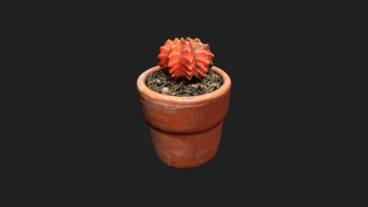 Media 1 for listing Myriophyllum Red Cactus – Scanned Asset