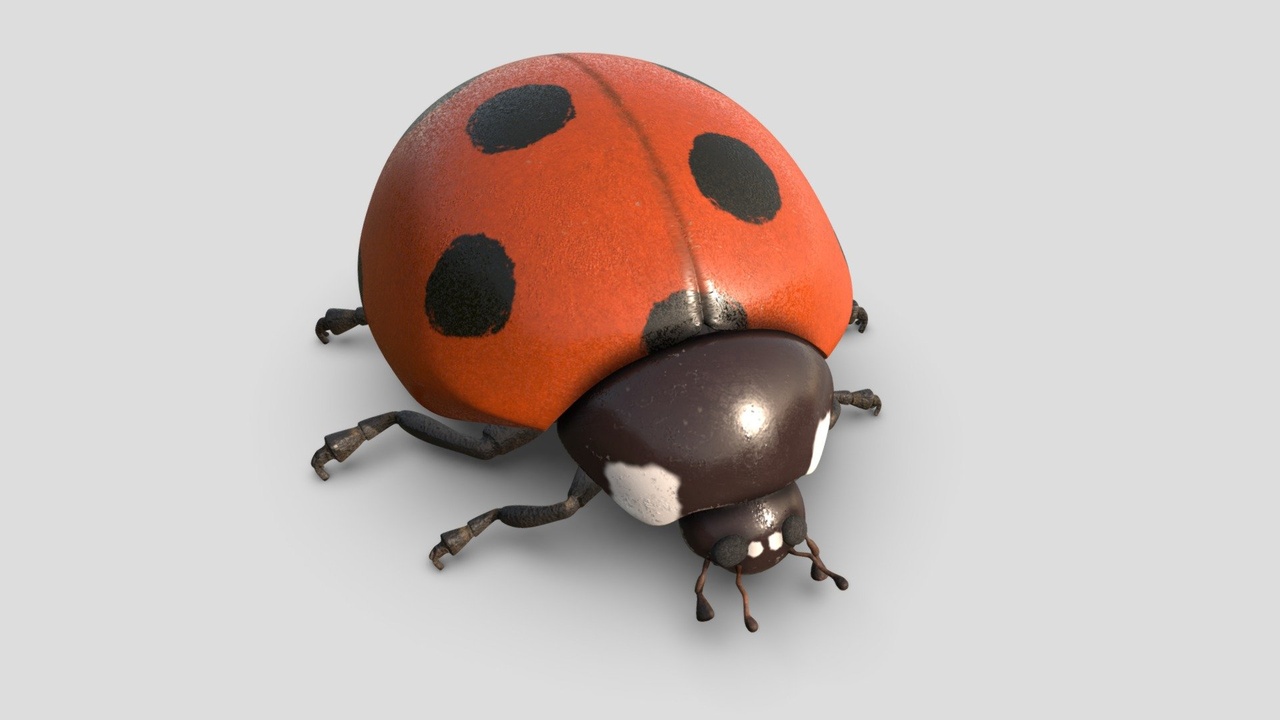 Model Lettybug Ladybug | Fab