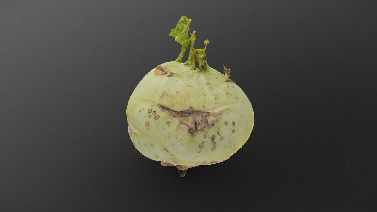 Media 1 for listing Homegrown kohlrabi