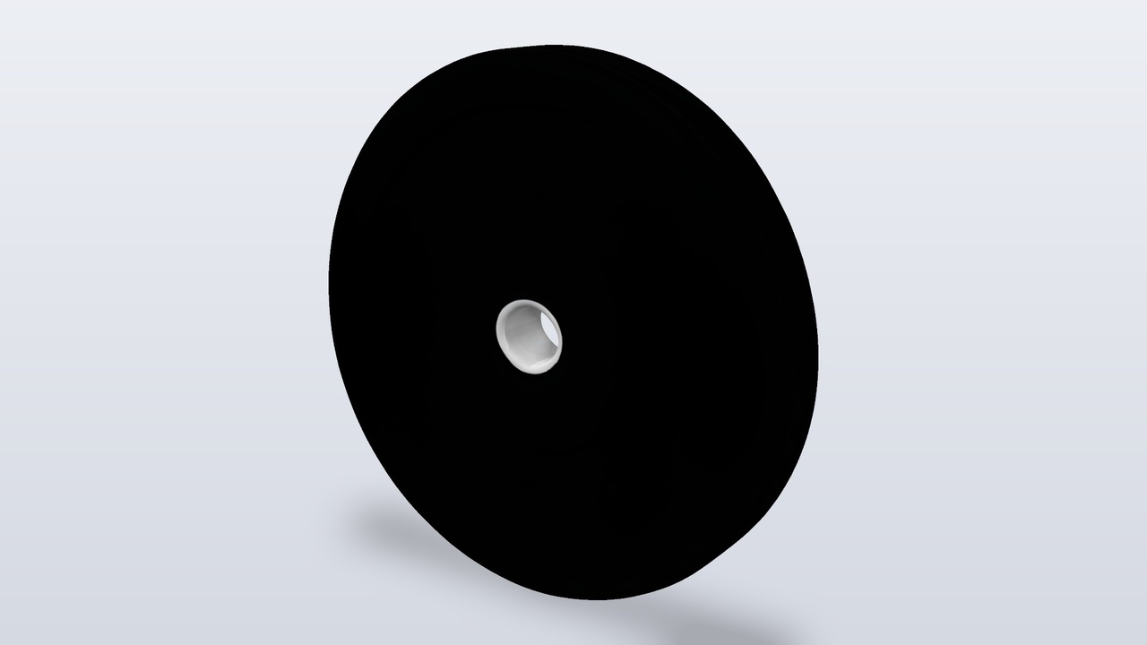 Professional Game Animation Rigs Black Bumper Weight Plate | Fab