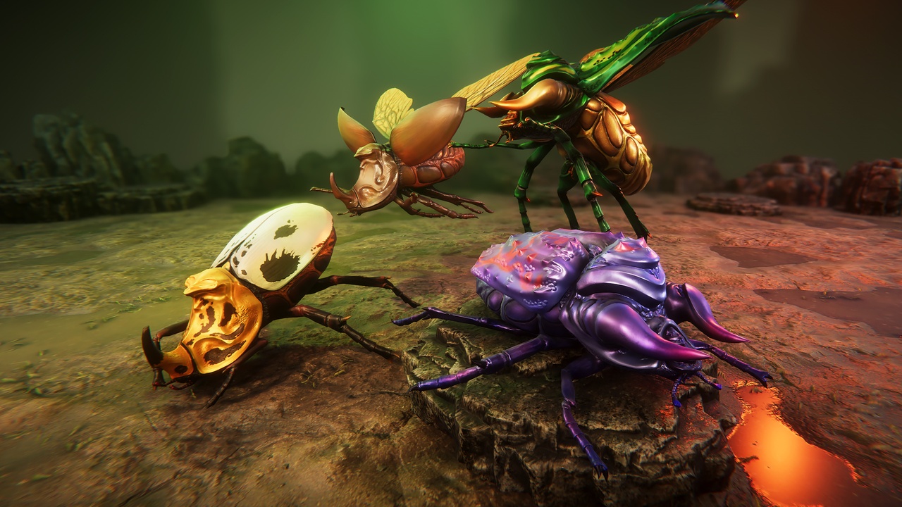 Media 1 for listing Beetles