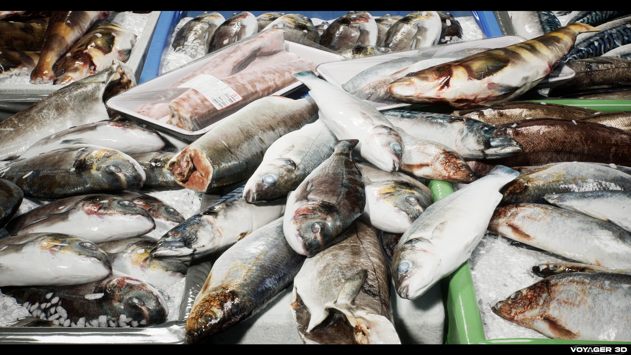 Media 1 for listing Scanned Fish Pack Vol.01