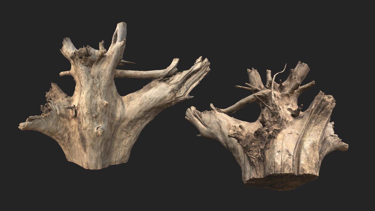 Media 1 for listing High-Precision Scanned Weathered Tree Stump 3D Asset | Full LOD Hierarchy | Phot