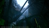 Asset image