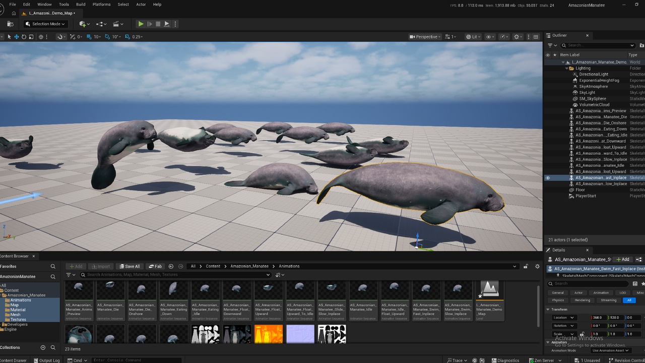 Media 1 for listing Amazonian Manatee