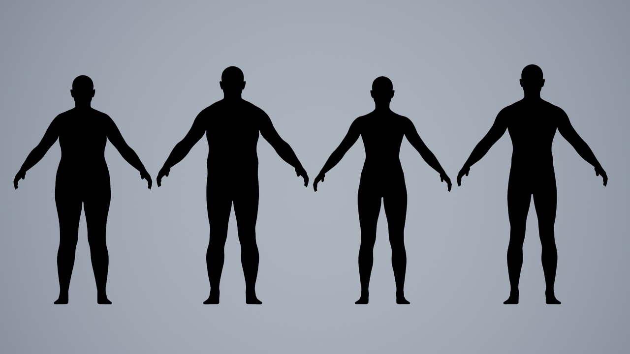 出品MetaHuman Clothing Construction Presets, Set of 4のメディア1