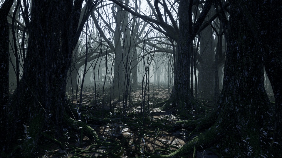 RARE】ダーク V.A Tales From The Dark Forest Tales From The