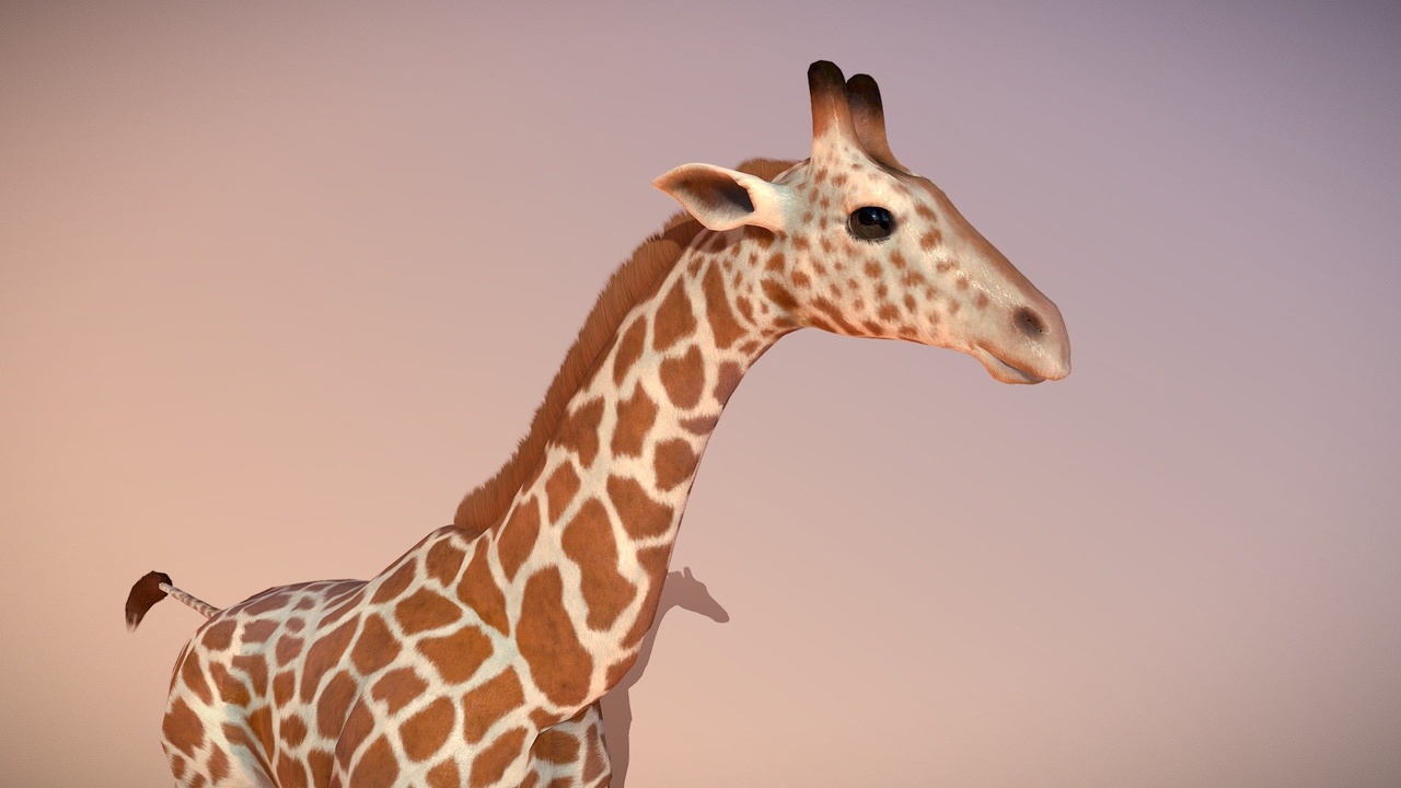 Media 1 for listing Animated giraffe