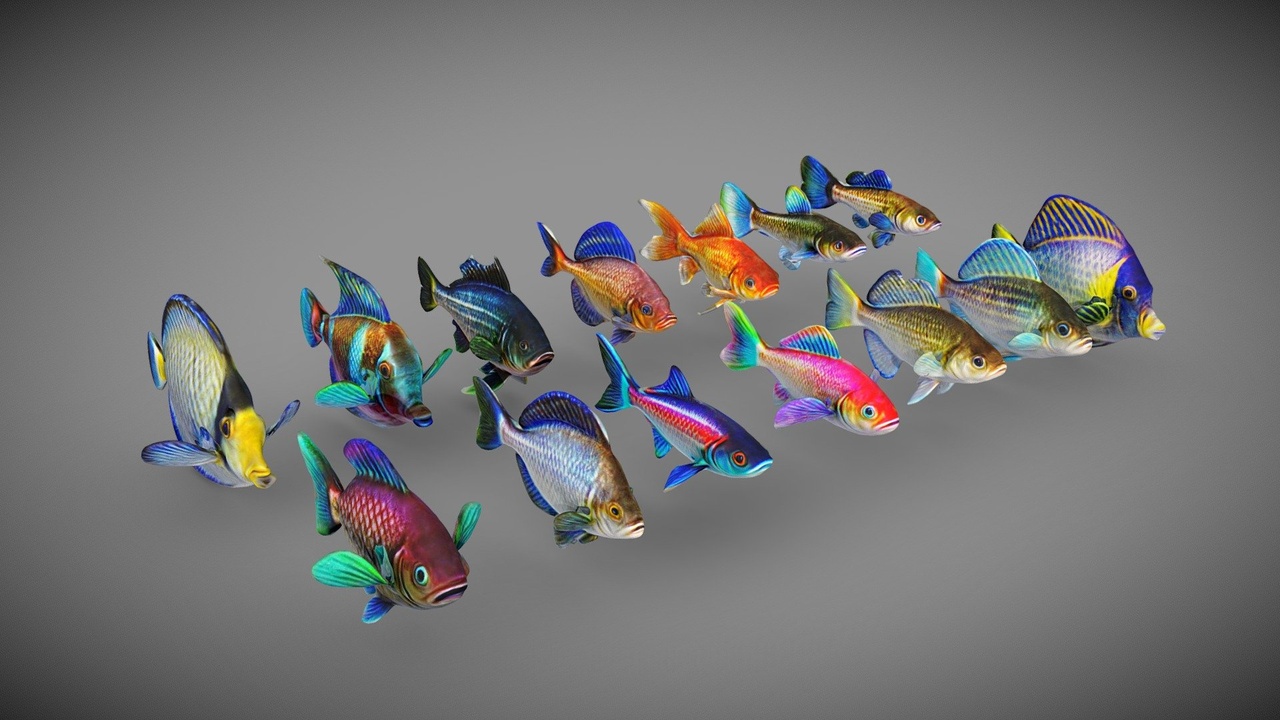 Media 1 for listing Tropical Fish