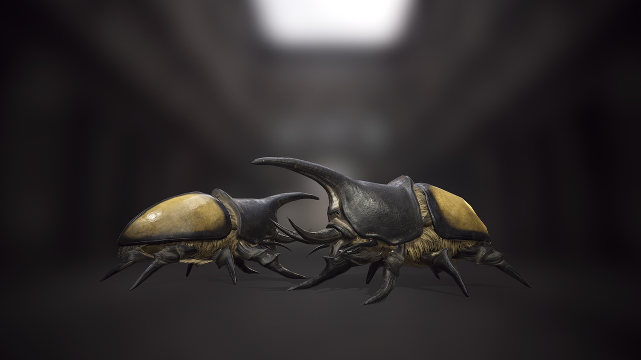 Медиа 1 для объявления Rhinoceros beetle