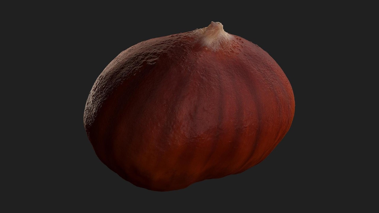 Media 1 for listing Chestnut