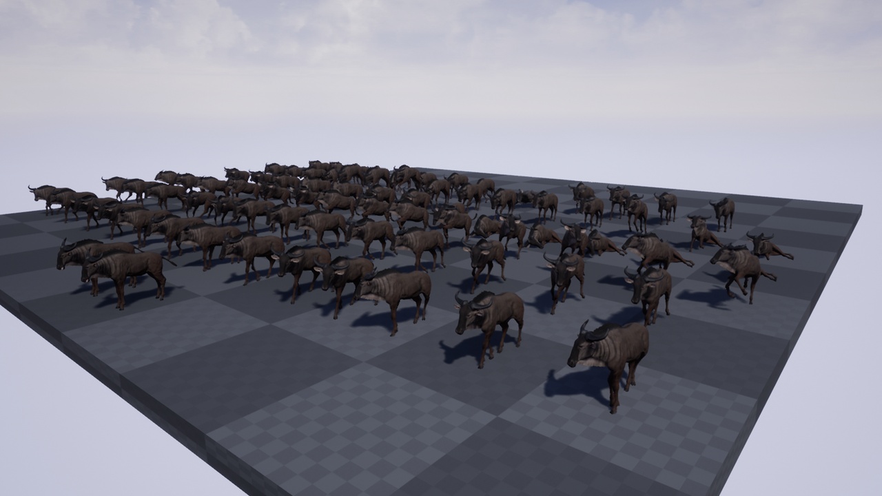 Media 1 for listing Wildebeest