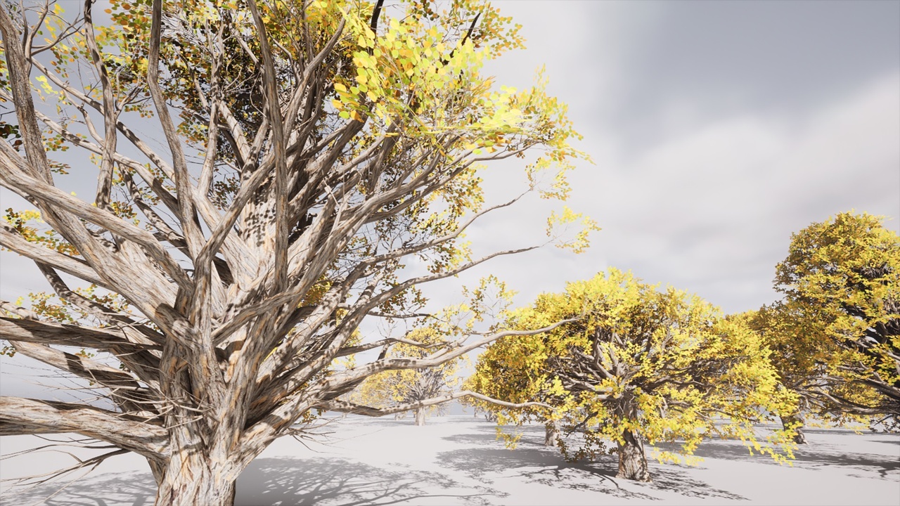Media 1 for listing HighPoly Tree Pack 49