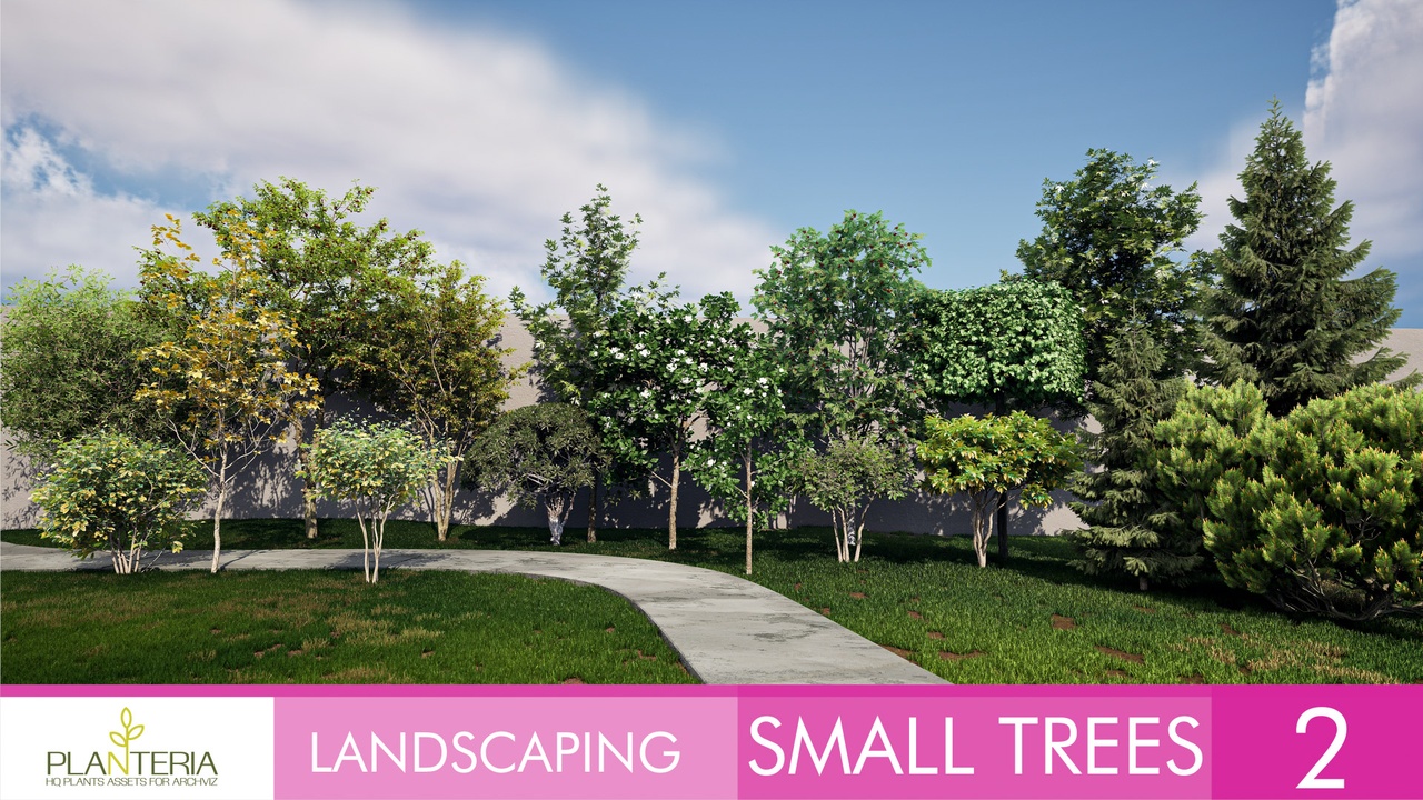出品Landscaping Small Trees 2のメディア1