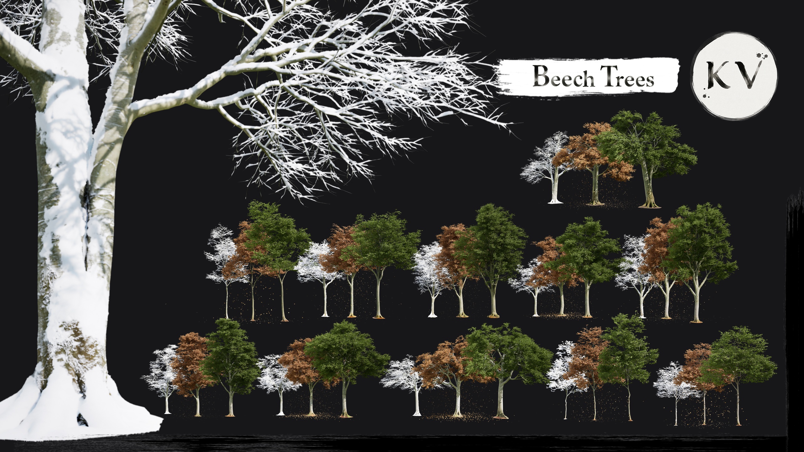 Media 1 for listing KV 🌳 Beech Trees — Cinematic Animated Tree | Nanite | Wind | Seasons|