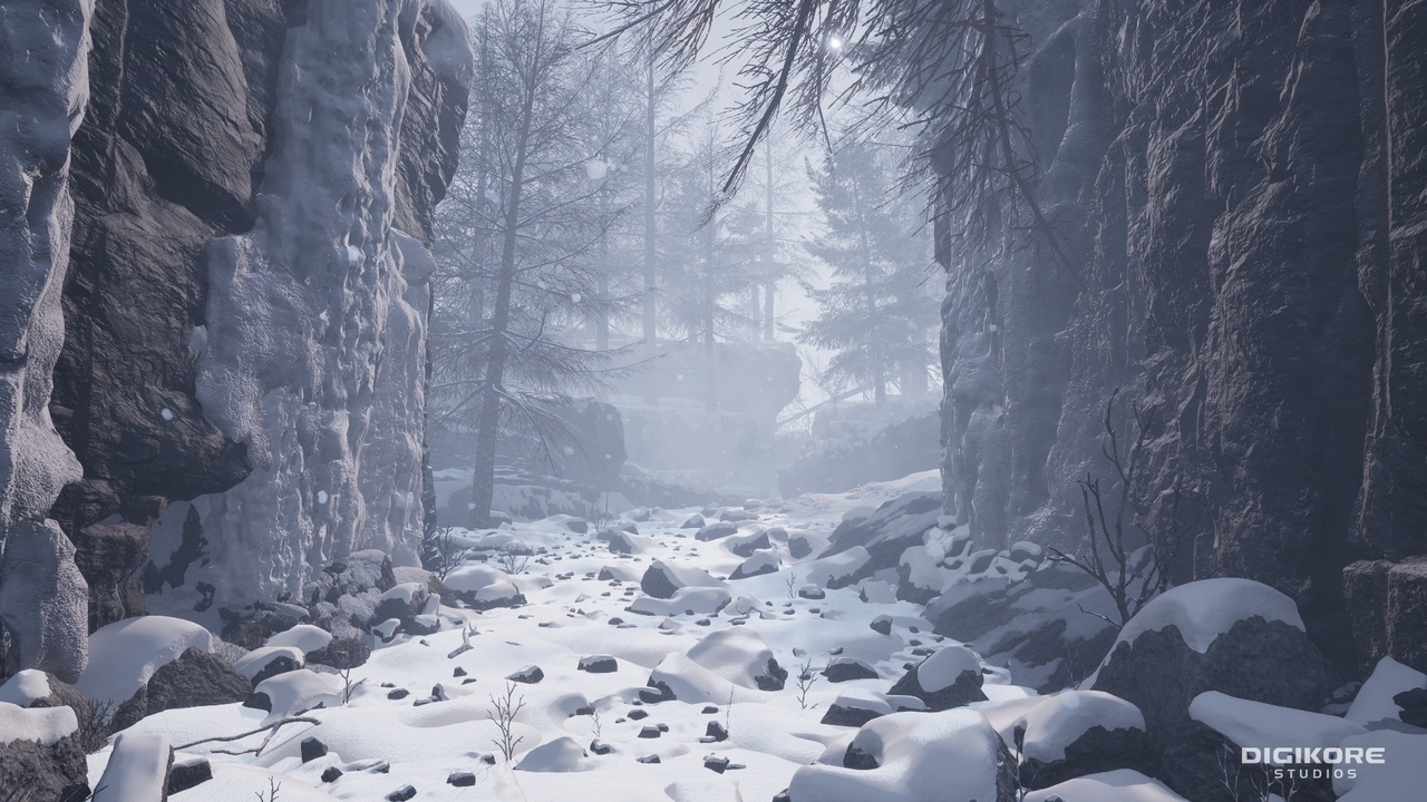 Media 1 for listing Windy Winter Forest