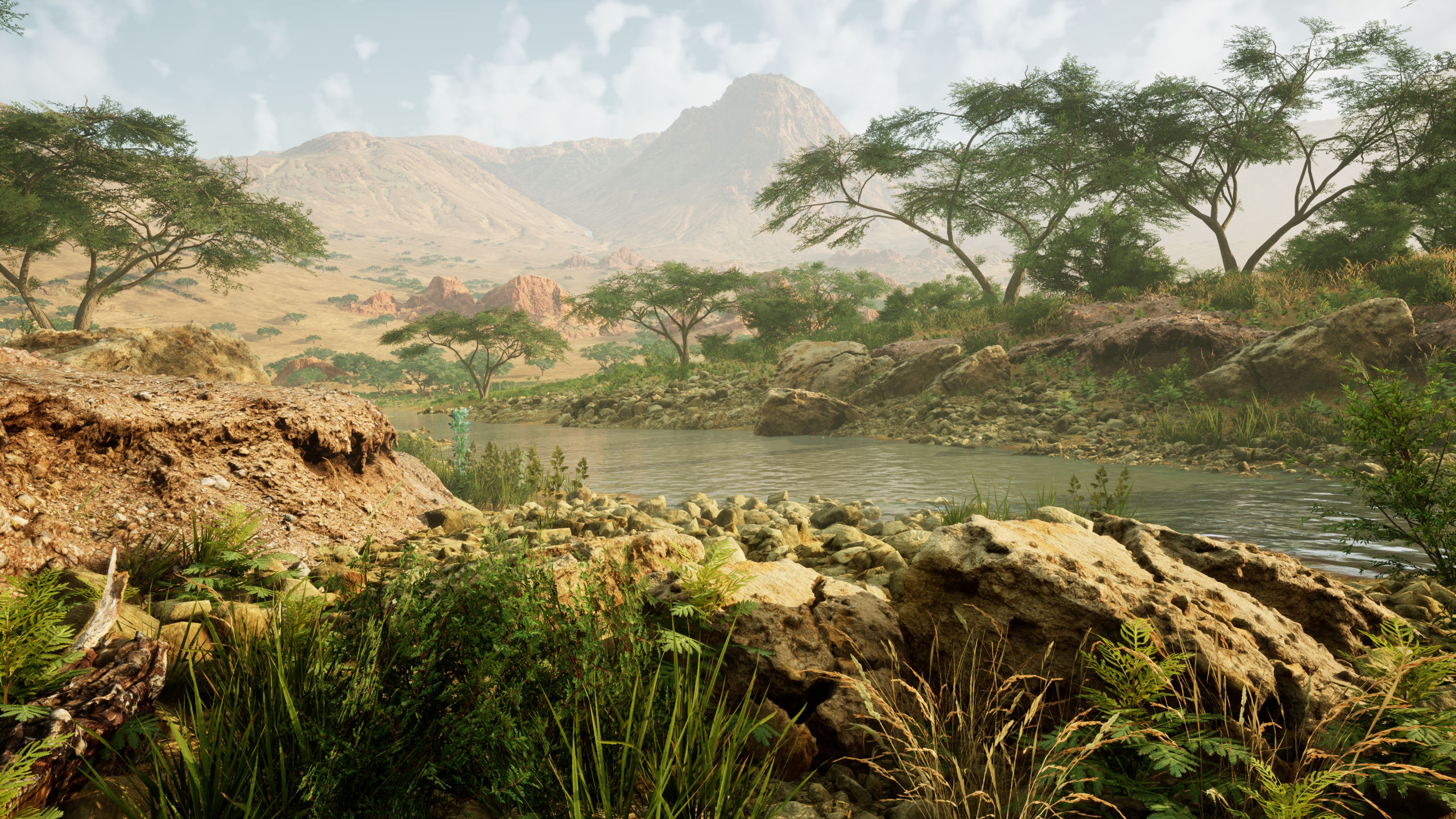 Savanna environment (grasslands, trees, forest, grass, rocks, mountains ...